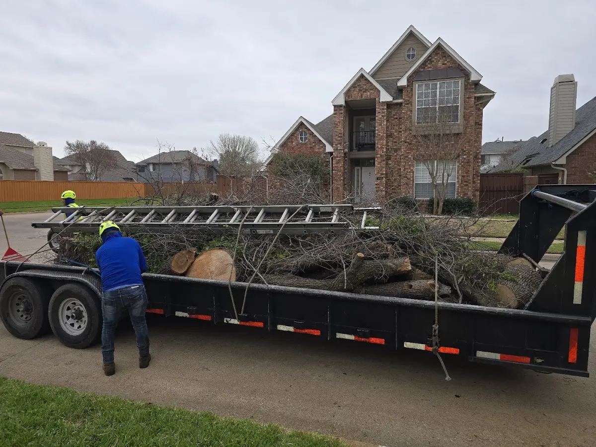 Expert Tree Removal with proper safety equipment in Bogalusa